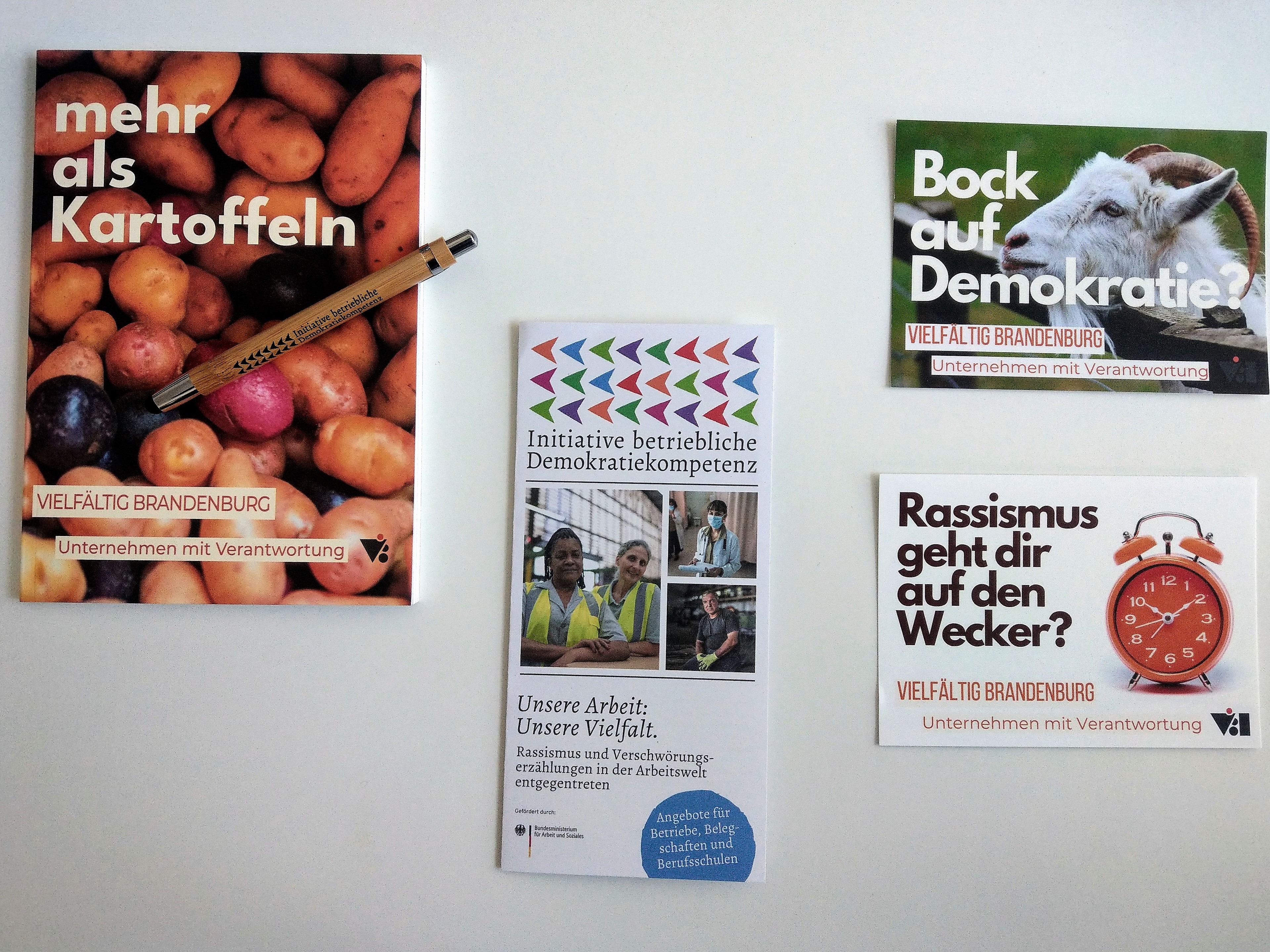 Flyer & Postkarten vom ViB-Projekt mit Slogans („mehr als Kartoffeln“, „Bock auf Demokratie?“, „Rassismus geht dir auf den Wecker?“)