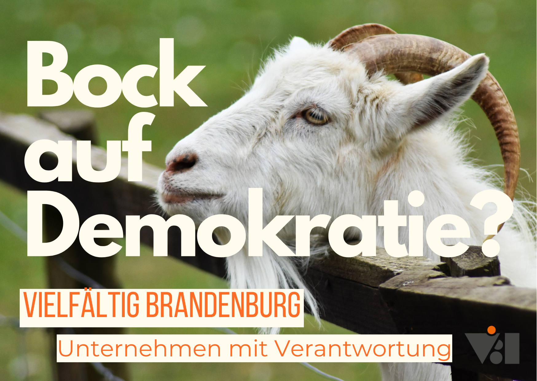 Postkarte vom Projekt Vielfältig Brandenburg, mit einem Ziegenbock und der Aufschrift: Bock auf Demokratie?